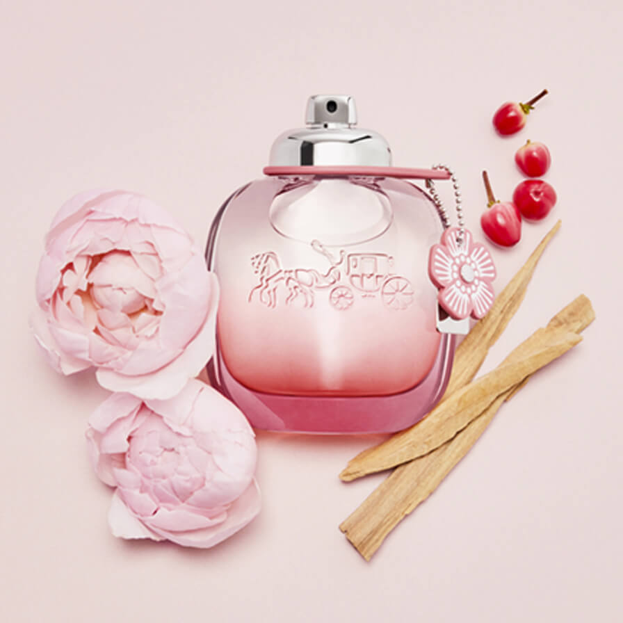 Coach Floral Blush - Miss Luxury