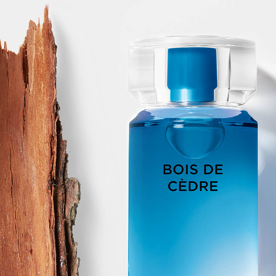 Karl Lagerfeld Fleur d’Orchidée & Bois de Cèdre - Interparfums