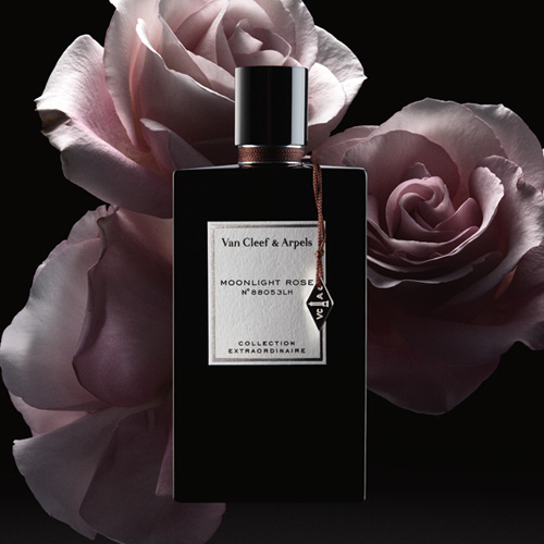 Van Cleef and Arpels Moonlight Rose