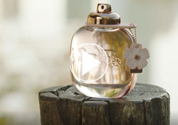 Coach Floral