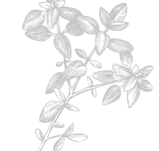 Van Cleef and Arpels California Rêverie