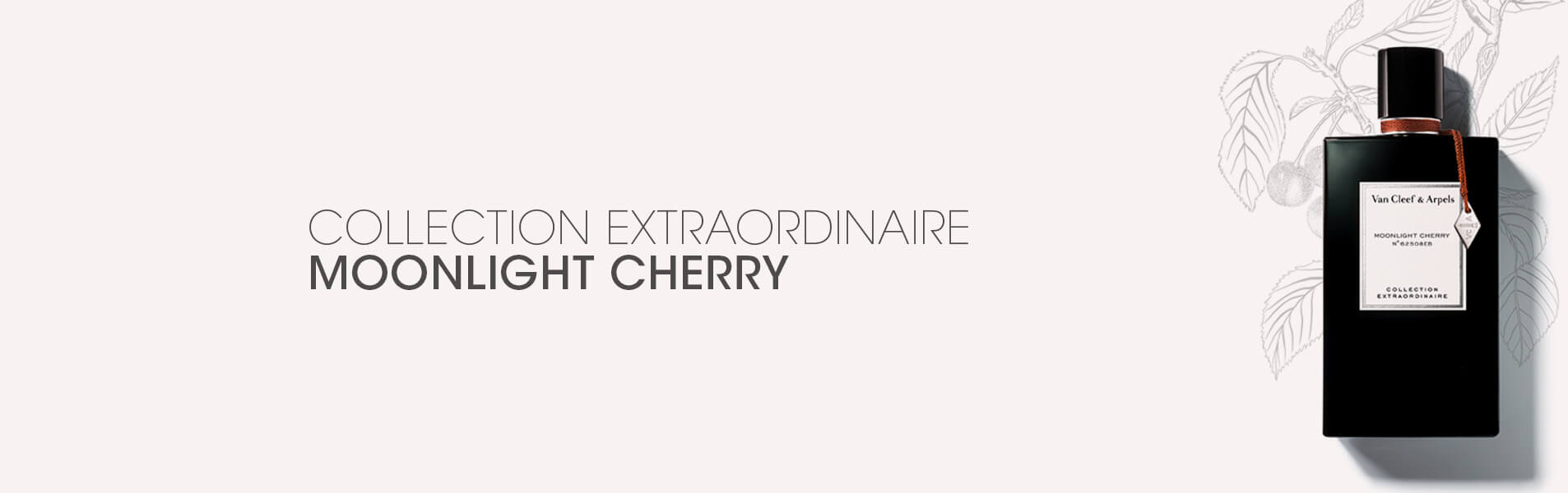 Collection extraordinaire moonlight cherry