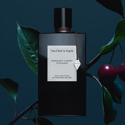 Collection extraordinaire moonlight cherry
