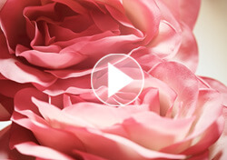 Solférino 02 – 10 Solférino