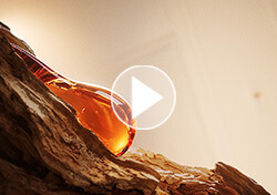 Solférino 07 – Minuit Rue Princesse