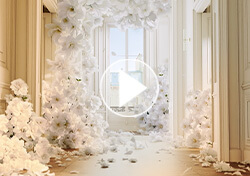 Solférino 06 – Paris Radieux