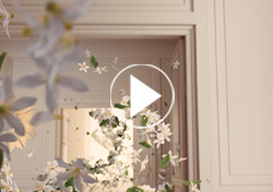 Solférino 01 – Rêverie sur Seine