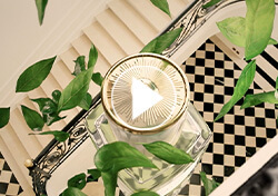 Solférino 03 – Thé au Palais Royal