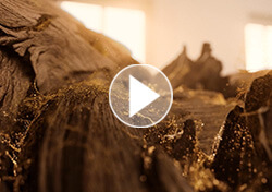 Solférino 08 – Un Baiser Place Vendôme