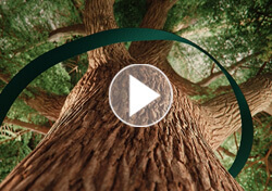 Solférino 05 – Un samedi à Paris