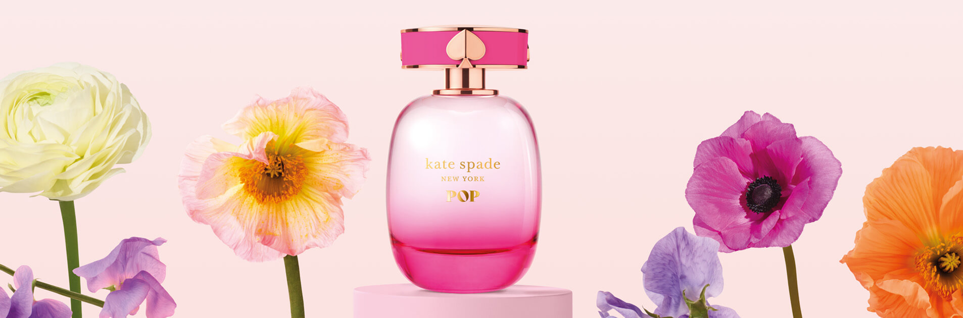 Kate Spade New-York Pop