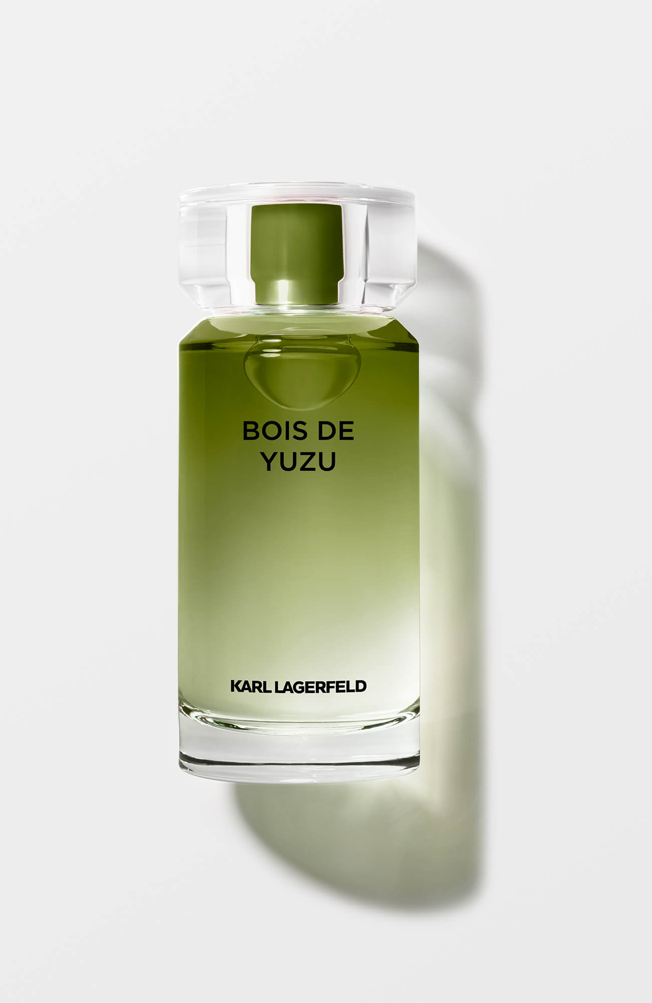 Karl Lagerfeld Fleur de Thé et Bois d'Ambre - Interparfums