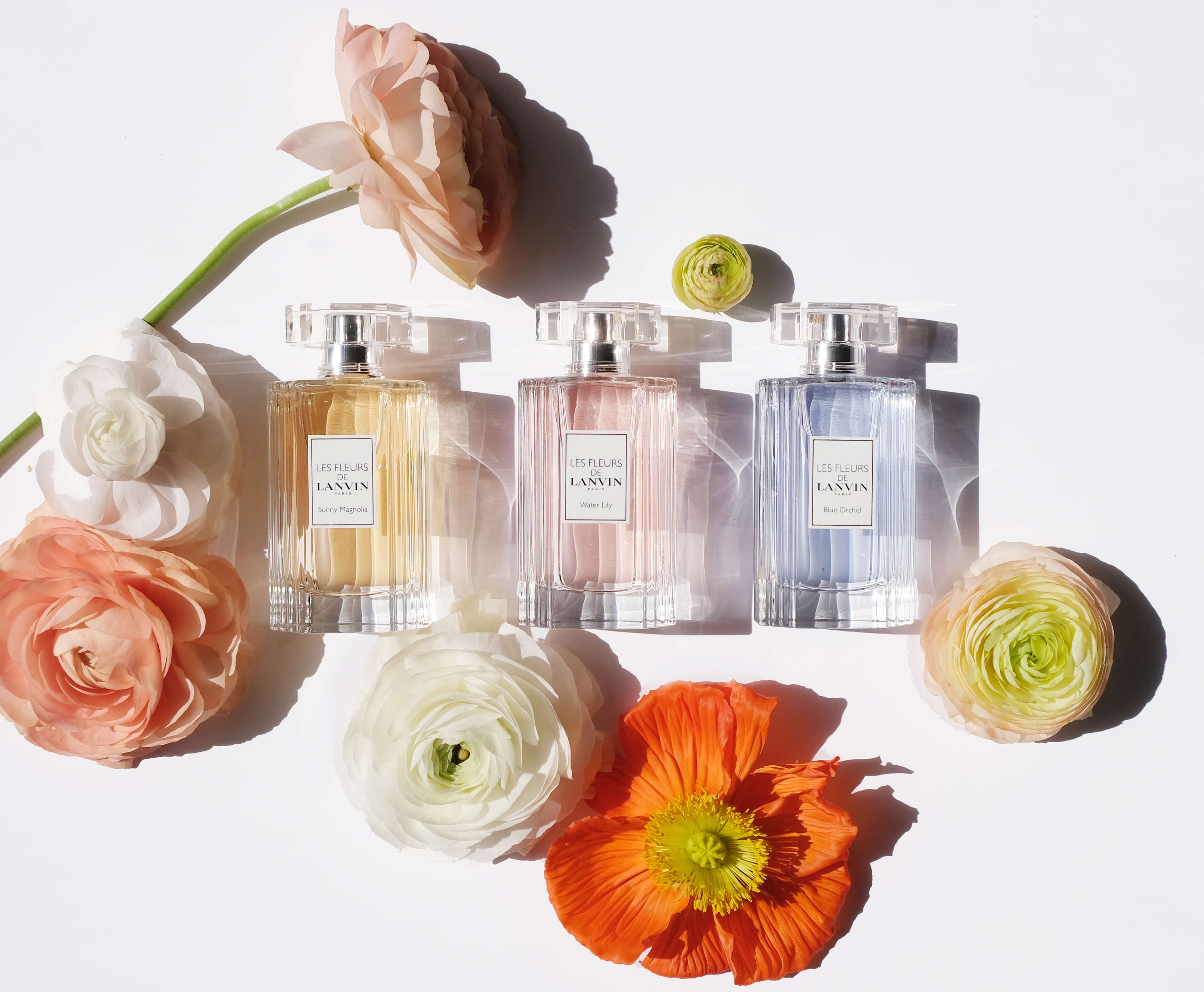 Les Fleurs de Lanvin - Interparfums